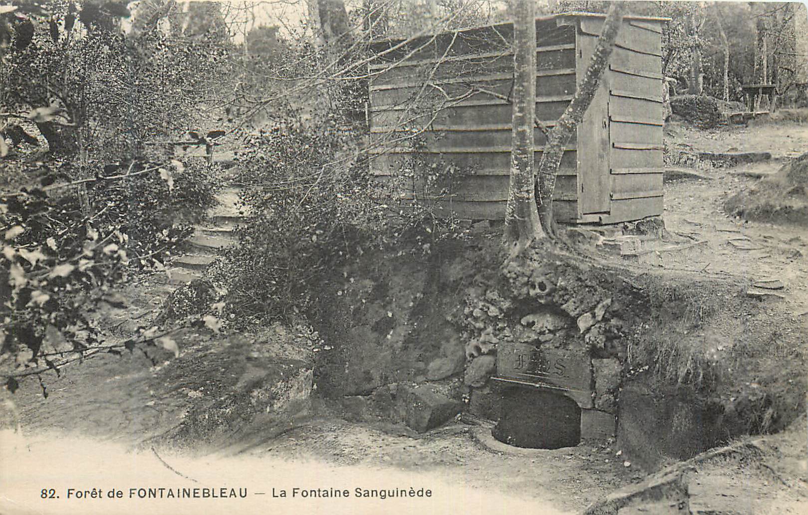 Forêt de FONTAINEBLEAU — La Fontaine Sanguinée — éditeur non visible, n° de série 82